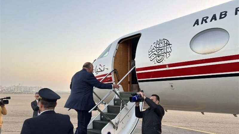 سامح شكري وزير الخارجية
