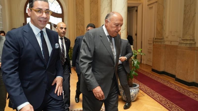 وزراء خارجية مصر وقبرص