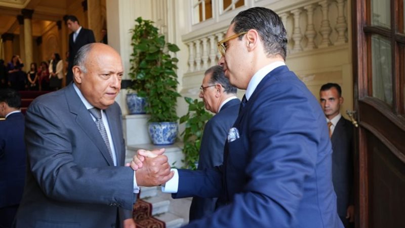سامح شكري ونظيره القبرصي