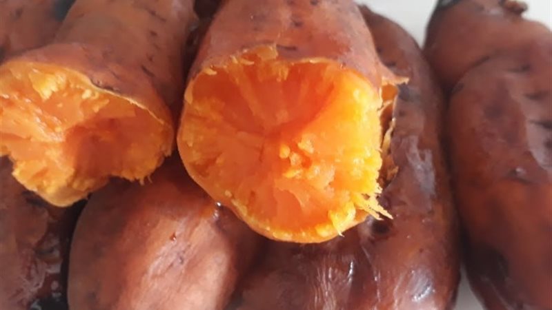 البطاطا الحلوة