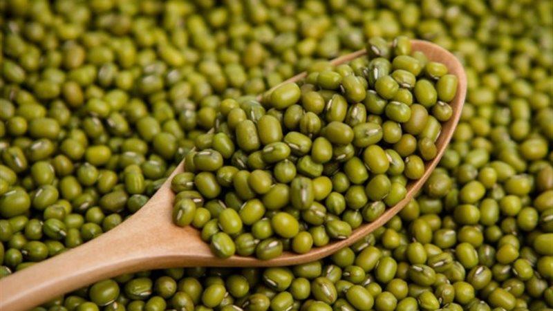فاصوليا خضراء - أرشيفية