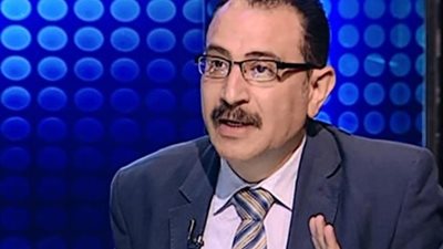 أستاذ علوم سياسية: مصر تقدم رؤية شاملة لحل القضية الفلسطينية