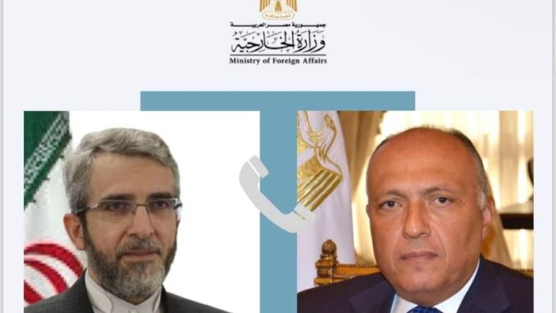 وزيرا خارجية مصر وإيران