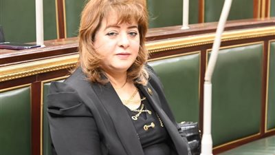 عضوة بـ«خارجية النواب»: الهجوم على قصواء الخلالي إرهاب فكري وتكميم للأفواه الصادقة