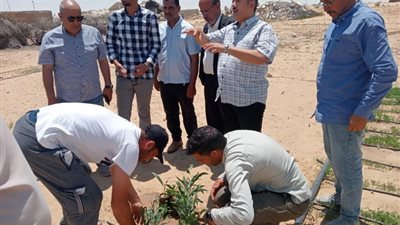 للتعريف بنبات «موسباسا»، بحوث الصحراء تنظم قوافل إرشادية بشمال سيناء