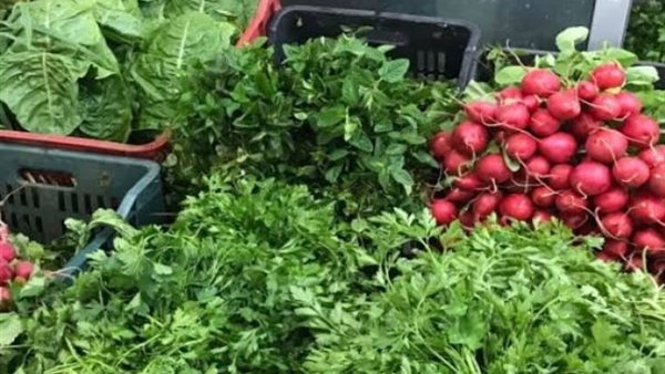 أسعار الخضار اليوم