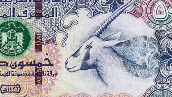 الدرهم الاماراتي
