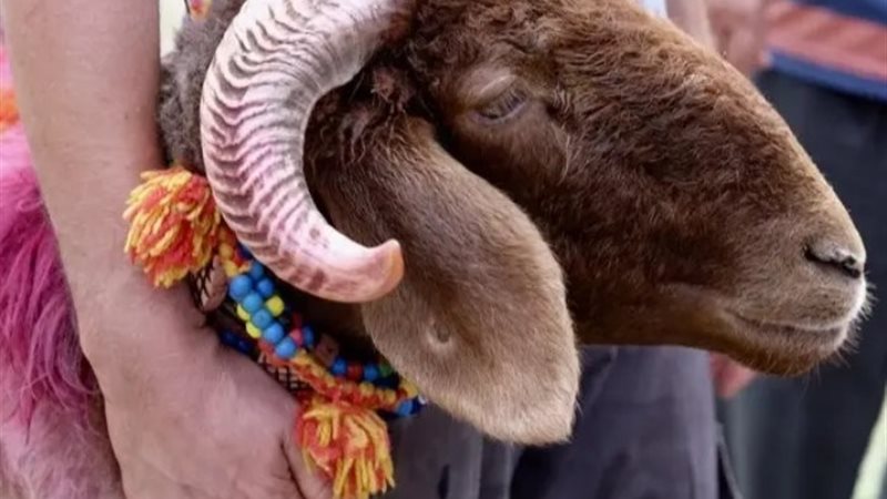قسيمة شراء وإجازة وأضحية لكل موظف