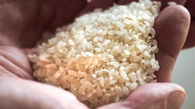 قبل عيد الأضحى، تعرف علي سعر الأرز اليوم الاثنين 9 يونيو 2024