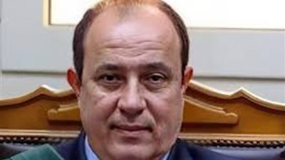 اليوم محاكمة 19 متهما في القضية المعروفة إعلاميا بـ«خلية المرج الثالثة»