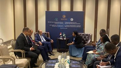 وزير الصناعة يبحث مع نظيرته النيجيرية سبل تعزيز العلاقات الاقتصادية بين البلدين
