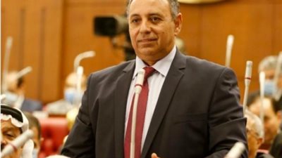 وكيل صناعة الشيوخ: تنسيقية شباب الأحزاب أيقونة العمل السياسي في مصر