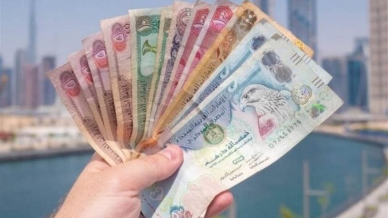 الدرهم الإماراتي