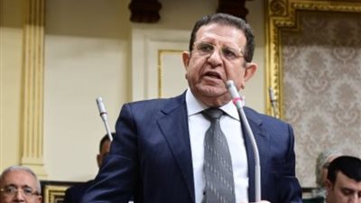 عضو «عربية النواب»: التنسيقية نجحت في خلق مسار جديد للحياة السياسية