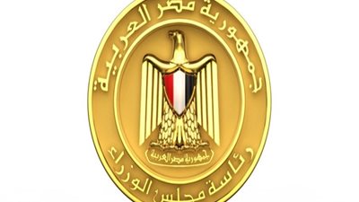 «معلومات الوزراء»: 73% من مستخدمي الخدمات الحكومية الإلكترونية راضون عنها