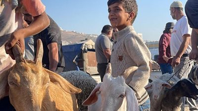 رغم العدوان، استعداد الفلسطينيين في الضفة الغربية لعيد الأضحى (صور)