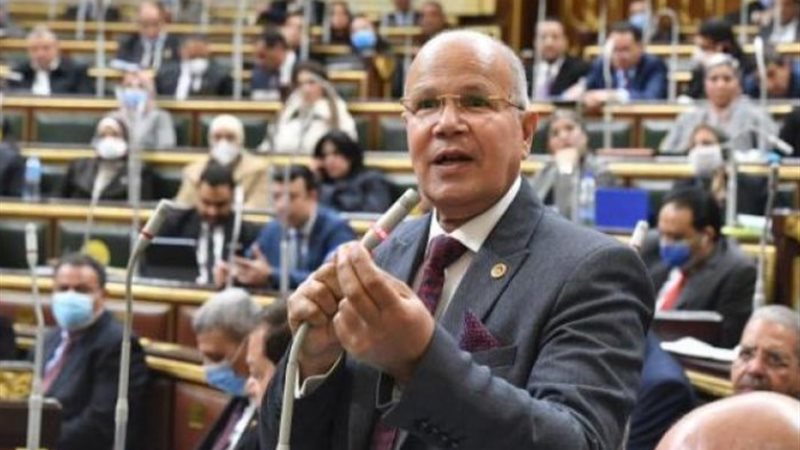 النائب السيد شمس الدين