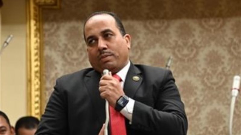 النائب أشرف أبو الفضل