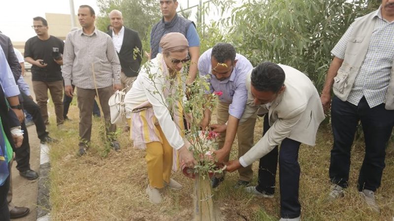 التشجير بمحافظتي قنا واسيوط