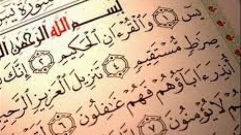أرشيفية