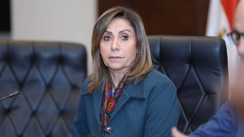 نيفين الكيلاني وزيرة الثقافة