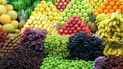 ارتفاع صادرات مصر من منتجات البترول والفواكه لـ 130%