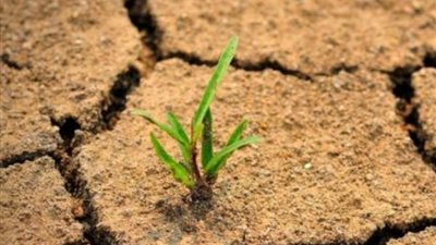 اليوم العالمي للتصحر، متحدون من أجل الأرض للحفاظ على إرثنا ومستقبلنا