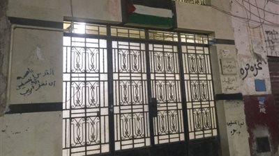 برسم العلم وكتابة «غزة حرة» على الجدران، عقار مصري يدعم القضية الفلسطينية