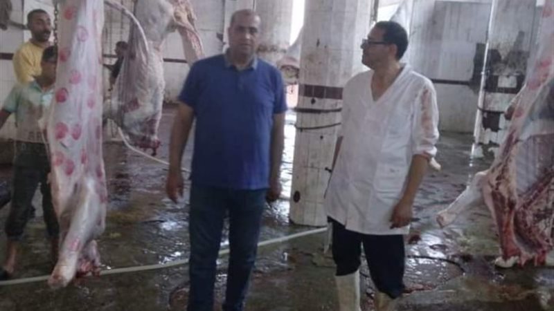 المرور على مجازر دمياط