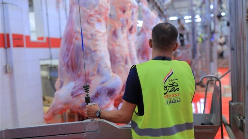 مبادرة أضاحي من صندوق تحيا مصر