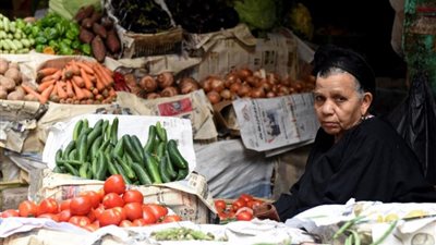 البنك المركزي يعدد أسباب تراجع معدلات التضخم في مصر إلى 27%