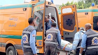 عرض السائق المتسبب فى حادث طريق الواحات على الطب الشرعي