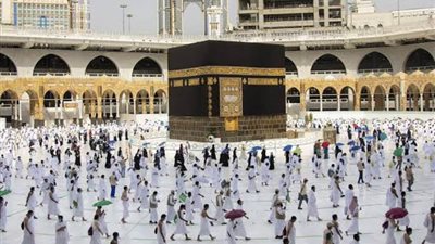 وقف عمرة الترانزيت، 140 شركة وهمية تحت طائلة العقوبات بعد وفيات موسم الحج
