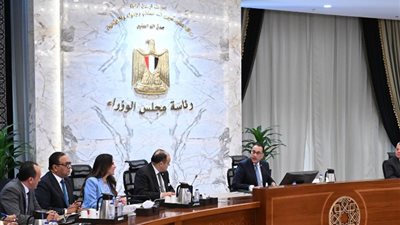 مقترح فرنسي للترويج للمنتجات والاستثمارات المصرية في باريس