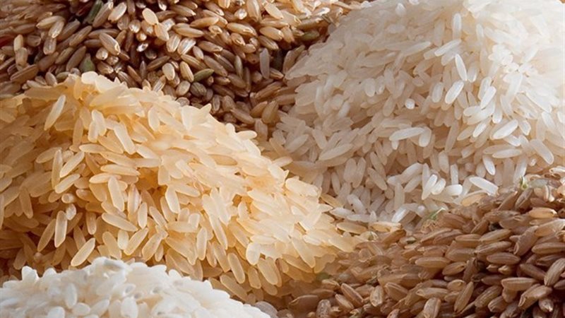 انخفاض سعر طن الأرز والشعير