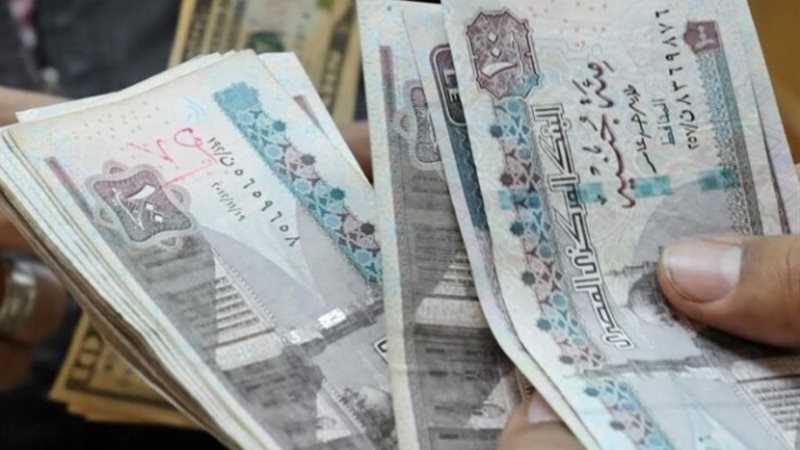 راتب شهري