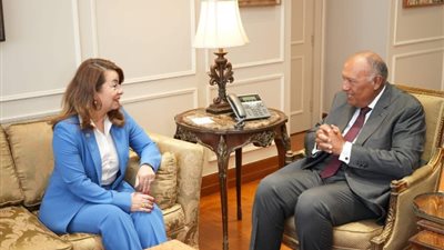 وزير الخارجية يشيد بجهود مكتب مصر بالأمم المتحدة في مكافحة الجريمة