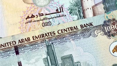 سعر الدرهم الإماراتي أمام الجنيه المصري اليوم الأربعاء 25-6-2024