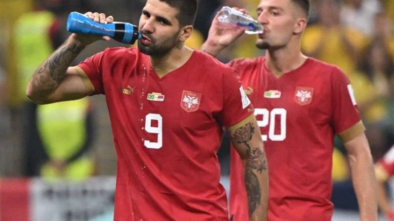 لاعبو منتخب الدنمارك