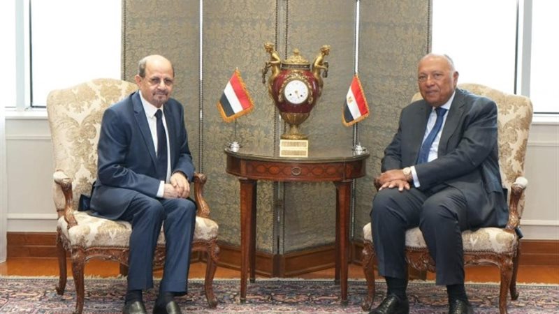 وزيرا خارجية مصر واليمن