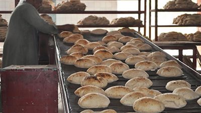 مطالب لـ«التموين» برفع تكلفة إنتاج جوال الدقيق إلى 550 جنيهاً