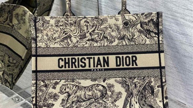 Dior Book Tote bag