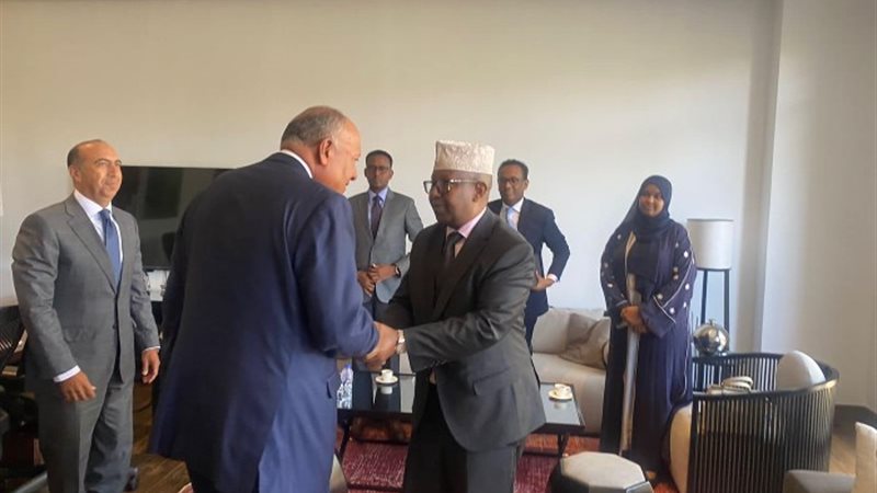 وزيرا خارجية مصر والصومال