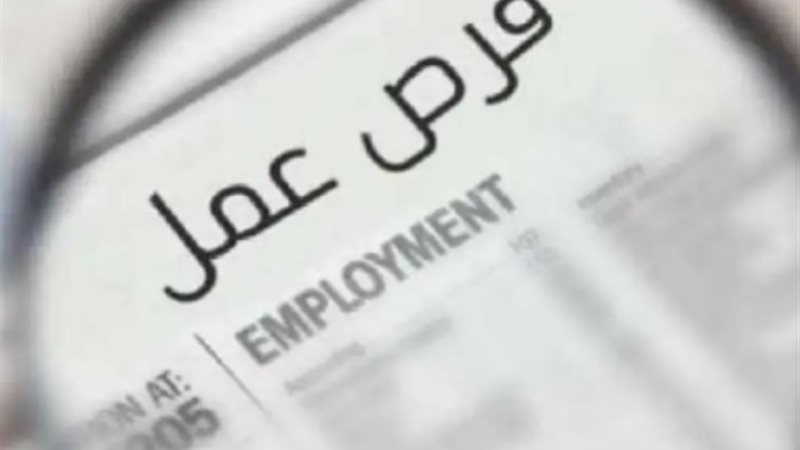 البحث علي فرص العمل_تعبيرية