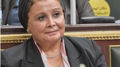 أم أطفال مصر، ما لا تعرفه عن النائبة عبلة الألفي؟
