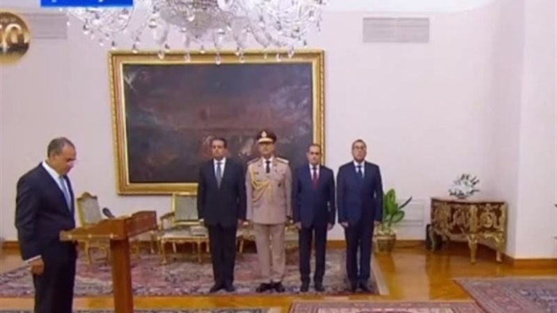 السفير بدر عبد العاطي
