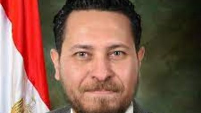 علاء عصام يكتب: «فوزي» جسراً لائقاً وناضجاً بين الحوار الوطني والبرلمان والحكومة