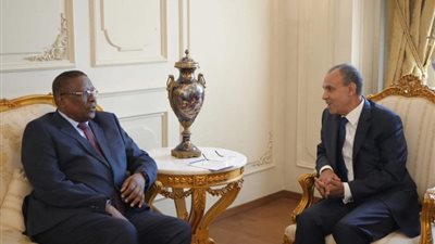 وزير الخارجية يتسلم رسالة من الرئيس ديبي إلى الرئيس السيسي