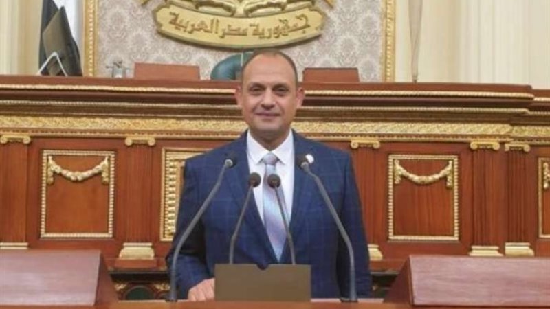 النائب هشام الجاهل
