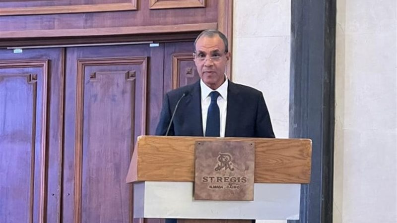 وزير الخارجية والهجرة وشؤون المصريين في الخارج، الدكتور بدر